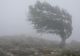 Prognoza meteo 27 noiembrie. Avertizări COD GALBEN de vreme severă în zeci de localități