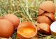 De ce NU trebuie să mai arunci cojile de ouă. Iată ce poți face cu ele