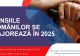 Anunțul-bombă pentru pensionarii români: Valoarea punctului de pensie crește cu 12,1%. De când va fi aplicată decizia