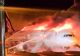 VIDEO: Foc și panică pe pistă: Un avion cu 176 de oameni bord a fost cuprins de flăcări 