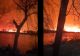 Delta Dunării, în flăcări. Incendiul de vegetație a pornit din zona localităţii Sulina și s-a dezvoltat cu repeziciune