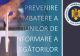 AEP ne recomandă să nu mai gândim 5 secunde. Cum vor autoritățile să combată dezinformarea - Document halucinant lansat în spațiul public