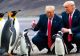 Donald Trump a impus tarife pinguinilor. Noua gafă a președintelui SUA, devenită subiect de glume pe internet