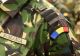 Câți militari a trimis MApN în misiunile internaționale. Anunțul oficial al ministerului