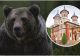 Un urs a fost văzut în curtea mănăstirii Sinaia. A fost emis un mesaj RO-Alert 