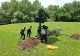 Totul Verde a început transplantarea arborilor de la Unirii în parcurile din sectorul 4