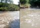 Dezastru ecologic pe Târnava Mică, după inundațiile de la Praid. Mai multe localități au rămas fără apă potabilă, iar pe râu plutesc pești morți - VIDEO