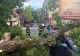 Dezastru în București, zeci de copaci au fost doborâți de furtună, imagini de coșmar - VIDEO/FOTO