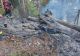 Incendiu de proporții în Munții Țibleș! Intervine elicopterul Black Hawk pentru stingerea flăcărilor 