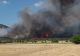 Incendiu devastator, în Tulcea: 80 de hectare de vegetație și pădure au fost făcute scrum. Intervenție contracronometru a pompierilor - VIDEO