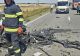 Accident grav în județul Arad. Două persoane, o femeie și un bărbat, au decedat 