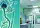 Alertă sanitară! O bacterie extrem de periculoasă, găsită în sala de operație a unui mare spital din țară: rată de mortalitate ridicată  