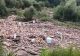 Alertă în comuna Borca din Neamț! Tone de material lemnos, resturi menajere și animale moarte, aduse de viituri pe râul Bistrița