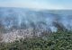 Pompierii continuă misiunea de stingere a incendiului de la Chilia Veche. Au ars 70 de hectare de pădure