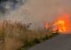 Incendiu de proporți în Dâmbovița. Peste 13 hectare de vegetație uscată, mistuite de flăcări