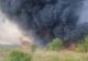 Incendiu violent de vegetație uscată în județul Buzău. Flăcările s-au extins la un parc auto, ard trei TIR-uri şi două microbuze