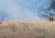 Un nou încendiu de amploare. Ard 40 de hectare de vegetație în Buzău VIDEO