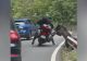 Turist străin, atacat de un urs pe Transfăgărășan. Animalul i-a răsturnat motocicleta și i-a golit rucsacul