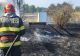 Incendiu de vegetație într-un parc din Giurgiu. Pompierii au intervenit de urgență