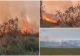 Incendiu puternic de vegetație uscată în Buzău. Peste 15 hectare de teren au fost mistuite de flăcări 