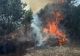 Incendiu de vegetație de proporții în Giurgiu. Opt ore de luptă cu flăcările pentru salvatori