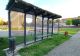Primul acoperiș verde instalat pe o stație de autobuz ar fi fost otrăvit. Proiect pilot din Arad, distrus de o mână criminală