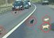 Zece cățeluși abandonați pe marginea DN14, salvați de o localnică. Poliția a deschis deja o anchetă pentru identificarea făptașului