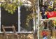 Tragedie în Timișoara: Explozie puternică urmată de incendiu într-un bloc. Un locatar este în stare gravă VIDEO