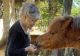 Ultima dorință a lui Brigitte Bardot: va fi înmormântată la Saint-Tropez, alături de animalele pe care le-a iubit