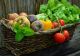 Importuri de 2 miliarde de euro la produse pe care le găsim și în țară. Bani grei pe fructe și legume din import