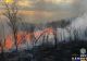 Incendiu de vegetație uscată în județul Dâmbovița. Șapte hectare de teren au fost mistuite de flăcări 
