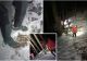 Inconștiență maximă. Turiști în pantofi, recuperați de salvamontiști din zona montană înaltă, unde zăpada are 50 de centimetri 
