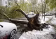 Ninsoare record în plină primăvară la Moscova. Zboruri anulate, copaci doborâți și haos în trafic - VIDEO