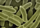Apă contaminată cu E-Coli în Covasna