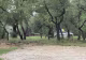 Tragedie în Statele Unite: Cinci persoane și-au pierdut viața într-un accident aviatic produs în Texas