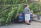Vântul a făcut ravagii în București. Copaci doborâți la pământ în zona Bucureștii Noi, pe fondul avertizărilor meteo severe