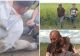 Criminalul din Bihor se află în arest preventiv: bărbatul a mai fost condamnat pentru omor, înainte de uciderea Aliciei