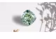Un diamant albastru-verde rar, vândut la Geneva pentru o sumă record. Cu cât a fost cumpărată bijuteria
