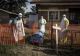 Alertă sanitară în Africa: focarul de Ebola se extinde rapid în Congo. Zeci de morți și sute de cazuri suspecte