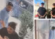 Doi români au furat „copacul banilor” dintr-un restaurant chinezesc din Marea Britanie. Planta cu valoare sentimentală a fost recuperată de poliție