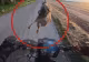 Momentul în care un iepure „atacă” fontal un trotinetist. Omul s-a prăbușit pe asfalt - VIDEO