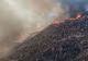 Incendiile din Oradea și din zona Şuncuiuş - Vadu Crişului, sub control: pompierii intervin pentru focarele reaprinse