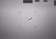 OZN doborât de un F-16 deasupra SUA - Pentagonul publică imagini care stârnesc controverse uriașe