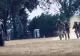 Rezerviștii până în 65 de ani, obligați la exerciții militare