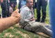 Bărbatul suspectat că a ucis o tânără de 18 ani a fost PRINS. Și-a recunoscut imediat fapta 