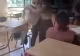 Bătaie ca în codru la un liceu din Giurgiu. O adolescentă a fost lovită în sala de clasă, sub privirile colegilor