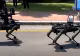 Taiwanul testează câini-robot înarmați pentru a descuraja China - VIDEO