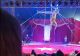 Clipe de coșmar la circ. Un acrobat s-a prăbușit de la înălțime în timpul spectacolului și a căzut peste spectatori - VIDEO