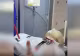Strigătul disperat al unei fiice pentru mama sa grav bolnavă. Diagnostic crunt