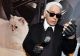 Pisica lui Karl Lagerfeld, moștenitoarea a 1.500.000 de lire sterline, a ajuns falită. Ce s-a întâmplat cu averea lăsată de designer